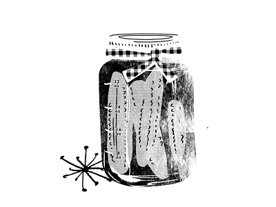 Pickles canning dill dill pickle gingham illustration jar jarring mason jar package pickles plaid