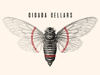 Cicada Cellars branding cellar cicada ipad procreate wine