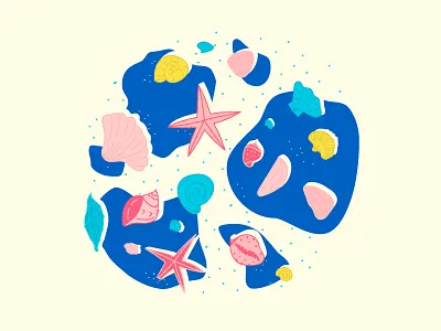 Sea Shells sand sea shell