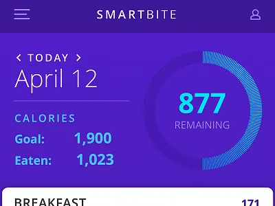 Smart Bite bite calories clean eating eat fitness tracker flat food health healthy