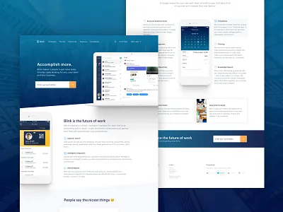 Landing Page - Blink branding identity interface landing page marketing security simplicity ui usability user experience design ux website