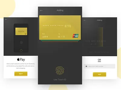 APPLE PAY ui