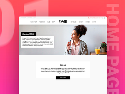 CHAPTER XXVIII bw colorful design home page redesign uiux web