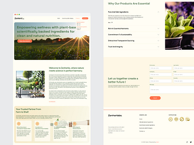 🌿 UX/UI Design for Zenherb B2B Product Catalogue (2024) b2bwebsite product catalogue webdesign