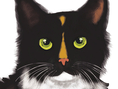 Cat portrait painting cat eyes fur fuzzy painting photoshop whiskers