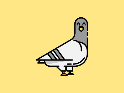 Pigeon