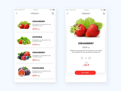 Practice the fruit app page ui