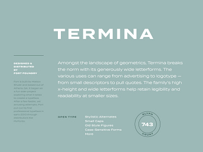 Termina Typeface branding layout type typography warm up