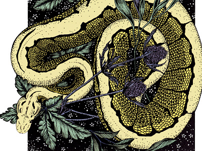 Snake Fineline illustration animal botanical detail intricate leaves nature pattern snake tropical