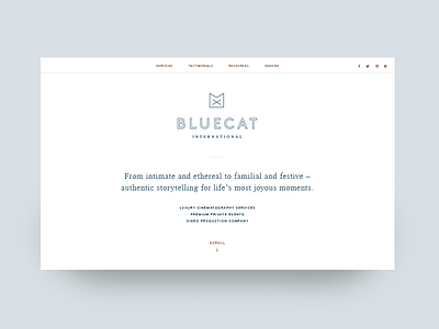 Bluecat bluecat hierarchy home page layout scroll typography web design website