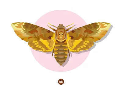 Acherontia Styx icon illustration insect wrocław
