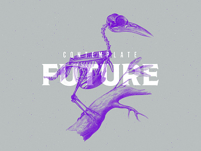 Contemplate Future animal behance color duotone illustration minimalist photoshop skeleton trend typography vintage