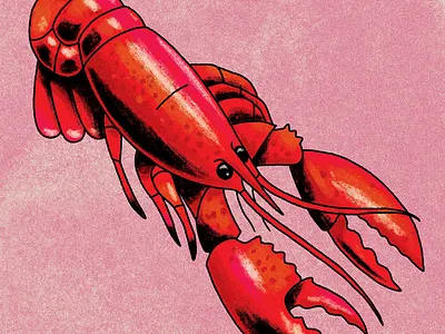 crawfish crawfish illustration lotería texture