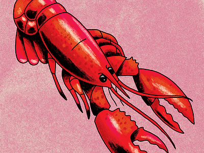 crawfish crawfish illustration lotería texture