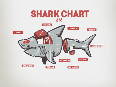 Shark Chart chart fish otoro sakami sea shark vector