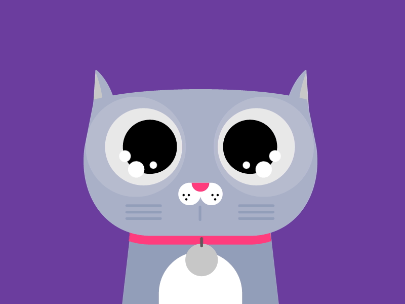 The Cat's Longing animation bold character design graphics motion