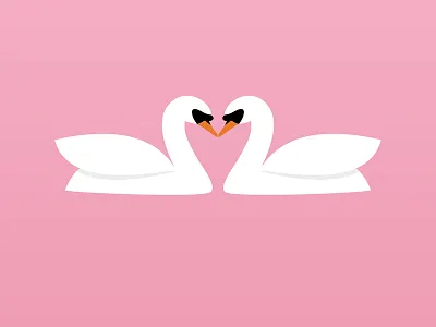 Loving Swans animal love pink swan