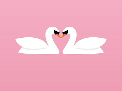 Loving Swans animal love pink swan