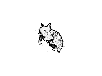 Wombat animal black grunge illustration texture wombat