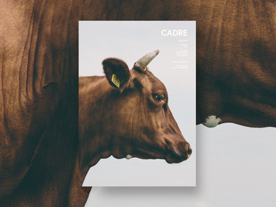 Cadre - Magazine concept for a rural magazine cover cow hendy magazine tyler tyler hendy