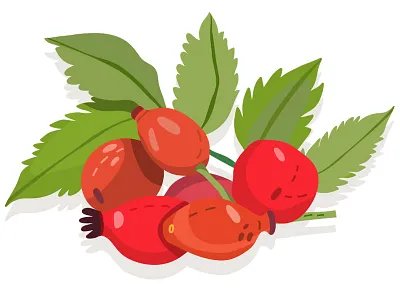 Rosehip berries forest fruity marushabelle patterns rosehip