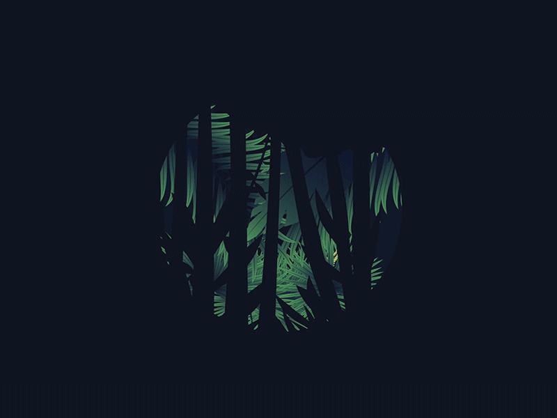 Hey Dribble! animation debut illustration jungle