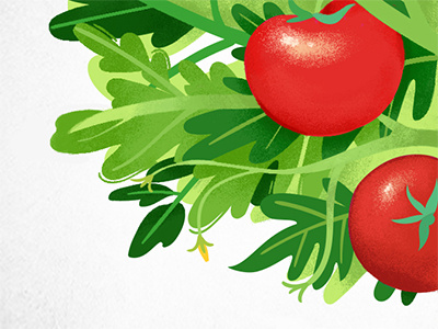 Tomato farm gardening green illustration nature plant texture tomato