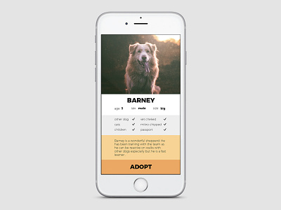 User (dog) profile 006 dailyui user profile