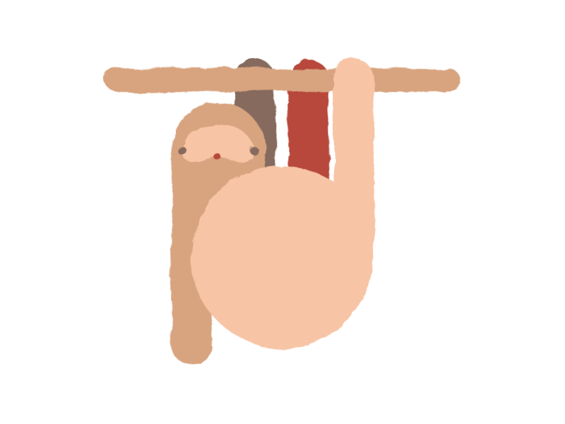 Sloth .aep after effects animal animation gif illustration kids lazy motion sloth vector zoo