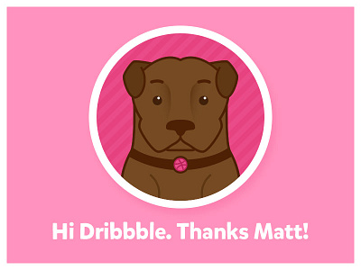 CW's Debut Shot! debut dog dribbble hello icon illustration logo shot vector