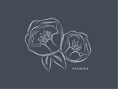 Peonies Sketch feminine flat flowers hand drawn monochrome