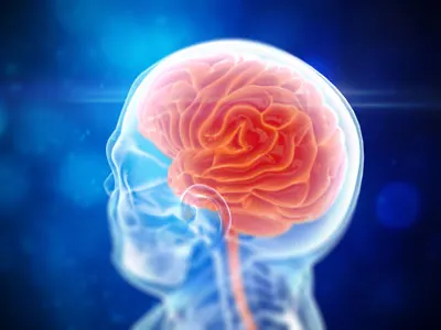 Brain Render 3d after effects brain cinema4d compositing digitalart freelance mdcommunity photoshop thegraphicspr0ject