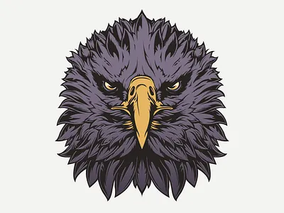 Eagle Head beak bird eagle feather head illustration intense regal stare