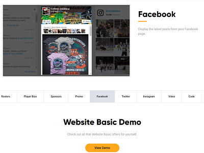 Product features carousel baseball basketball football hockey lacrosse soccer