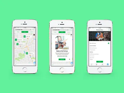 Animals application mobile design pets