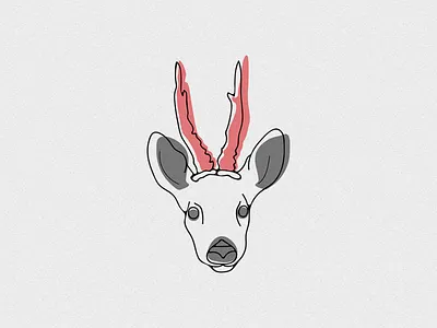 Roebuck deer graphics illustration roebuck