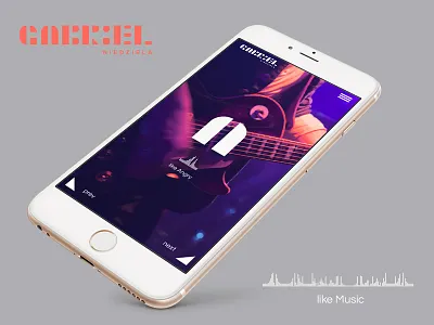 Gabriel Niedziela identification guitar music