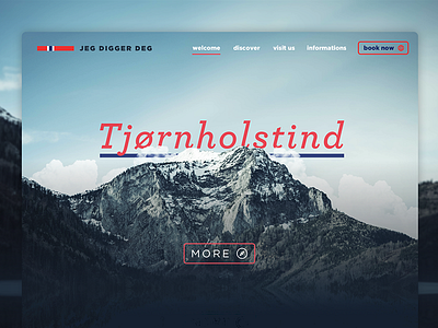 Jeg Digger Deg minimalist norway tourism web