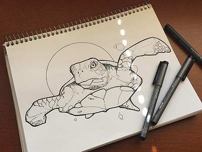 Sea turtle animals illustration ink sketch turtle