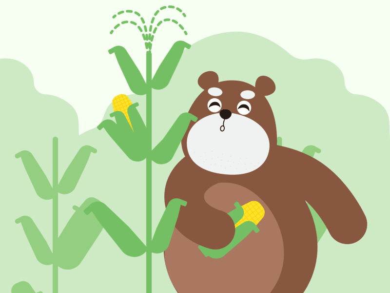 Bear&Corn animation bear corn gif happy illustration