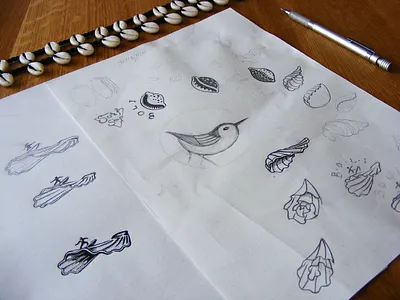 Shell Sketch black cowry drawing logo ocean sea shell sketch sport surf surfing water