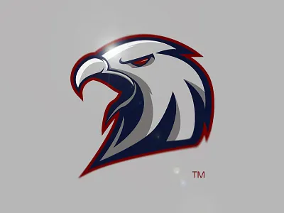 Twins Bald Eagle brand design eagle eagles esport graphic illustration logo mascot sport twins twoheaded