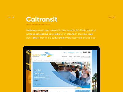 Case Study case study exploration sans sans serif two color yellow