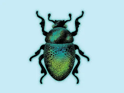 Beetle bug illustration insect vector