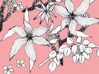 Flowers floral illos millenial pink