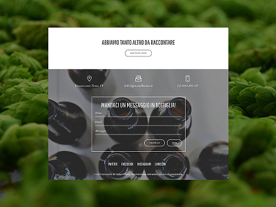 Footer Contact Form "Message in a bottle" beer contact craft design footer form message ui web website