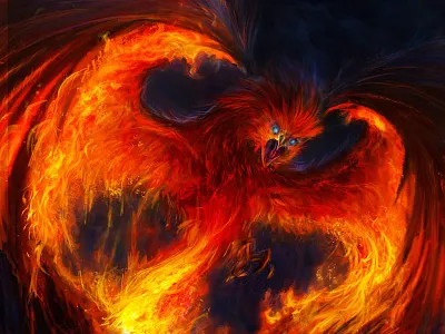 Phoenix art bird cardart fantasy fire harrypotter illustrator phoenix