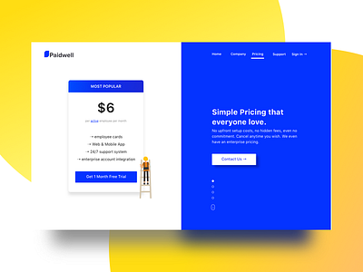 Paidwell - Pricing Page b2b hr software interface landing page payroll ui ux