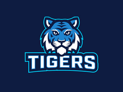 Central Tigers Rebrand blue branding elementary high school rebrand school sports tiger