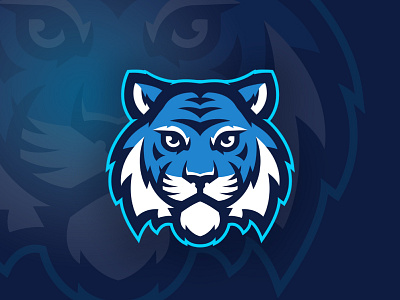 Central Tigers Rebrand blue branding elementary high school rebrand school sports tiger